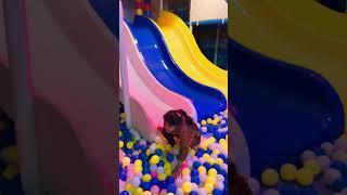 Viral || trending || shorts || play area  jannat mall