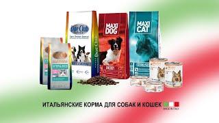 Итальянские корма Dog Club | Вебинар 2022