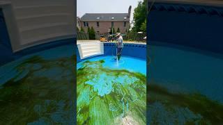 GREEN POOL or SWAMP ? TRANSFORMATION #transformation #swimmingpool #poolcleaning @VikingAquatics