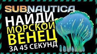 Subnautica ГДЕ НАЙТИ МОРСКОЙ ВЕНЕЦ