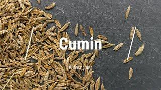  All About Cumin Spice