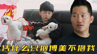 兩條狗在家爭寵打架，訓犬師卻說主人全責，只養不教不如不養