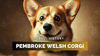 Pembroke Welsh Corgi - Full History