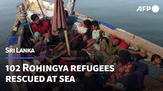 102 Rohingya refugees rescued at sea by Sri Lankan navy | AFP