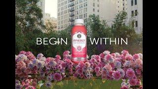SYNERGY Raw Kombucha – Begin Within — GT’s Living Foods