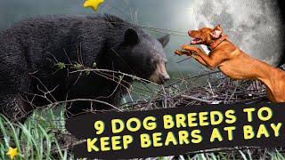 Bear Hunting Dogs – 9 Dog Breeds to Keep Bears at Bay | Dog show