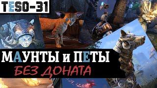 Все БЕСПЛАТНЫЕ маунты и петы в Elder Scrolls Online. Ездовые и декоративные питомцы. TESO(2020)