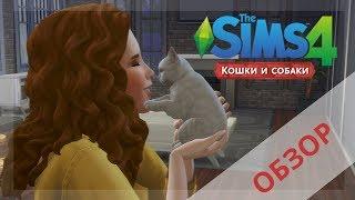 Симс 4 ПИТОМЦЫ обзор : геймплей | Симс 4 Кошки и Собаки | Sims 4 Cats and Dogs