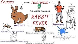 Tularemia (Rabbit Fever): Symptoms, Pathogenesis, Diagnosis, Treament