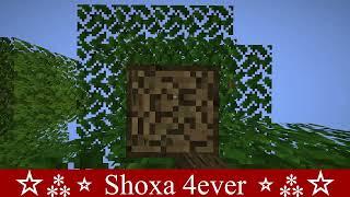 #minecraft #survival @Shoxa_4ever