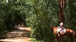 Grand Galop Saison 3 Episode 1   Le retour