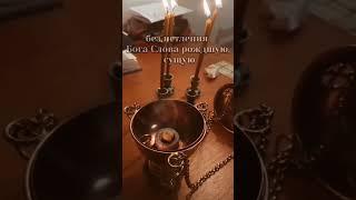 Молитва “Честнейшую херувим”️ #православие #бог #вера #молитва