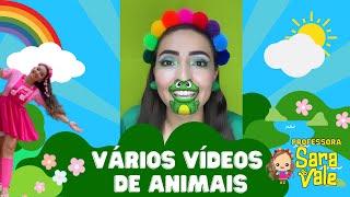 Músicas de animais - Professora Sara do Vale - PARTE 1. Vários vídeos juntos