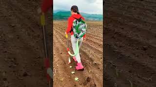 Alat Pertanian Sederhana Untuk Ladang Pertanian #shorts