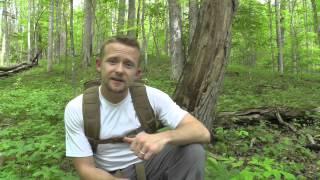 Backpacking : Hiking Tips Part 1 : The Outdoor Gear Review