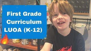 1st Grade Curriculum Walkthrough and Review | Liberty University Online Academy (K-12)