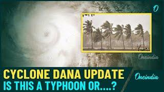 Cyclone Dana Landfall: How The Cyclone is Different from Typhoons & Tornadoes?| Watch