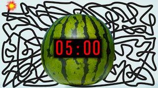 5 Minute Timer Bomb [WATERMELON] 