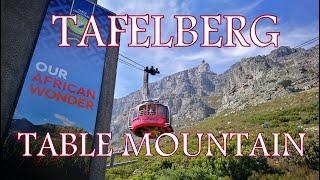 Auf den Tafelberg mit der Seilbahn