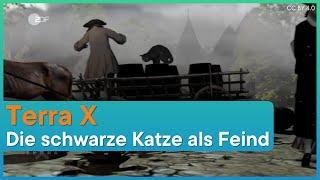 Terra X: Schwarze Katzen und Aberglaube