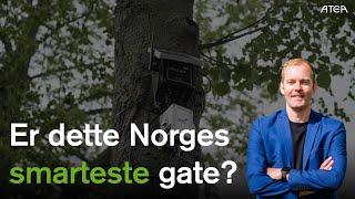 Sandefjord kommune: Er dette Norges smarteste gate?