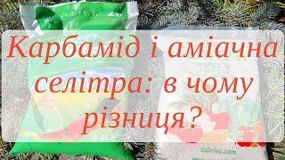 Сечовина (карбамід) і аміачна селітра: різниця і застосування.