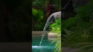 Serene Nature Soundscapes for Deep Relaxation