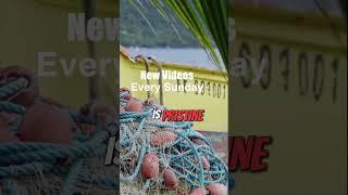Join Sailing Remission in the Lao Group Fiji
