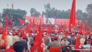 Tiktok video ANP song Bacha khan gatoo