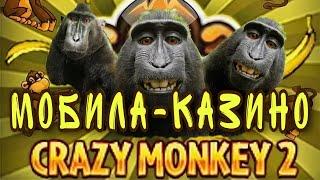 Слоты играсофт. Crazy Monkey 2 в онлайн казино. Советы от Joker мобила казино.