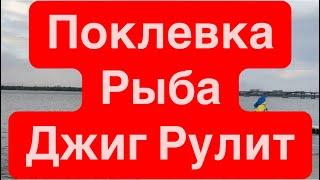 ДнепрОсталась ли РыбаМор РыбыМощная ПоклевкаРыба ЕстьДжиг на ДнепреОтравили ВодуРыба Тянет