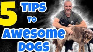 How to have an awesome dog #dog #dogtips