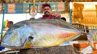 KASIMEDU  SPEED SELVAM | 44 KG GIANT TREVALLY FISH CUTTING VIDEO | IN KASIMEDU | FF CUTTING 