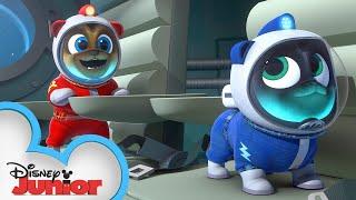 Puppies Go to the Moon!  | Puppy Dog Pals | Disney Junior