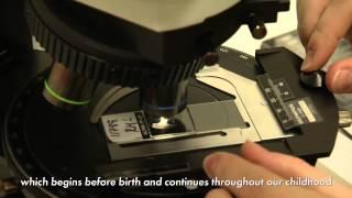 Current Research in Evolutionary Biology