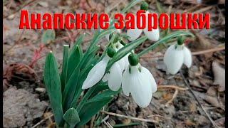Анапа Пионерский проспект Прогулка по зимнему курорту Мысли вслух Мама и Оля