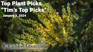 Top Plant Picks - "Tim's Top Picks"