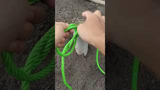 Amazing Knot