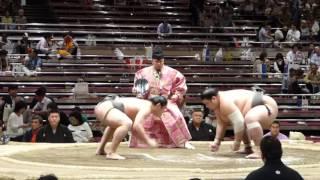 Onami (4-2) - Hishofuji (3-3) , Sumo : Natsubasho '16