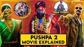 Pushpa 2 Movie Explained In HINDI | Pushpa 2 The Rule Story In HINDI | Pushpa The Rule (2024) Movie