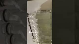 Alcophonics