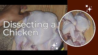 Dissecting a Whole Chicken|How to Cut up a Chicken Easily