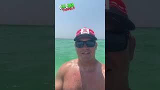 Paddle Boarding at Grayton Beach | Dolphin Encounter & Stunning Sea Life | Santa Rosa Beach, FL