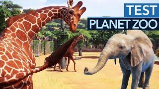 Planet Zoo im Test / Review