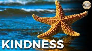 The Boy and the Starfish: A Small Act of Kindness That Changed Everything