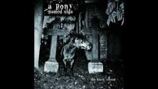 A Pony named Olga -  "Funny What You Pray"
