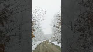 Nature Scenery #shorts #winter #youtubeshorts HD | Drive in winter Season | NATURE RELAXATION MOVIES