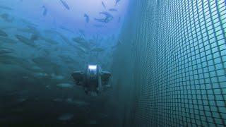Top 6 uses for ROV's in Aquaculture | Deep Trekker