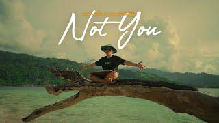 NOT YOU - Alan Walker (DJ Desa)