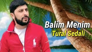 Tural Sedali - Balim Menim (Official Audio Music)